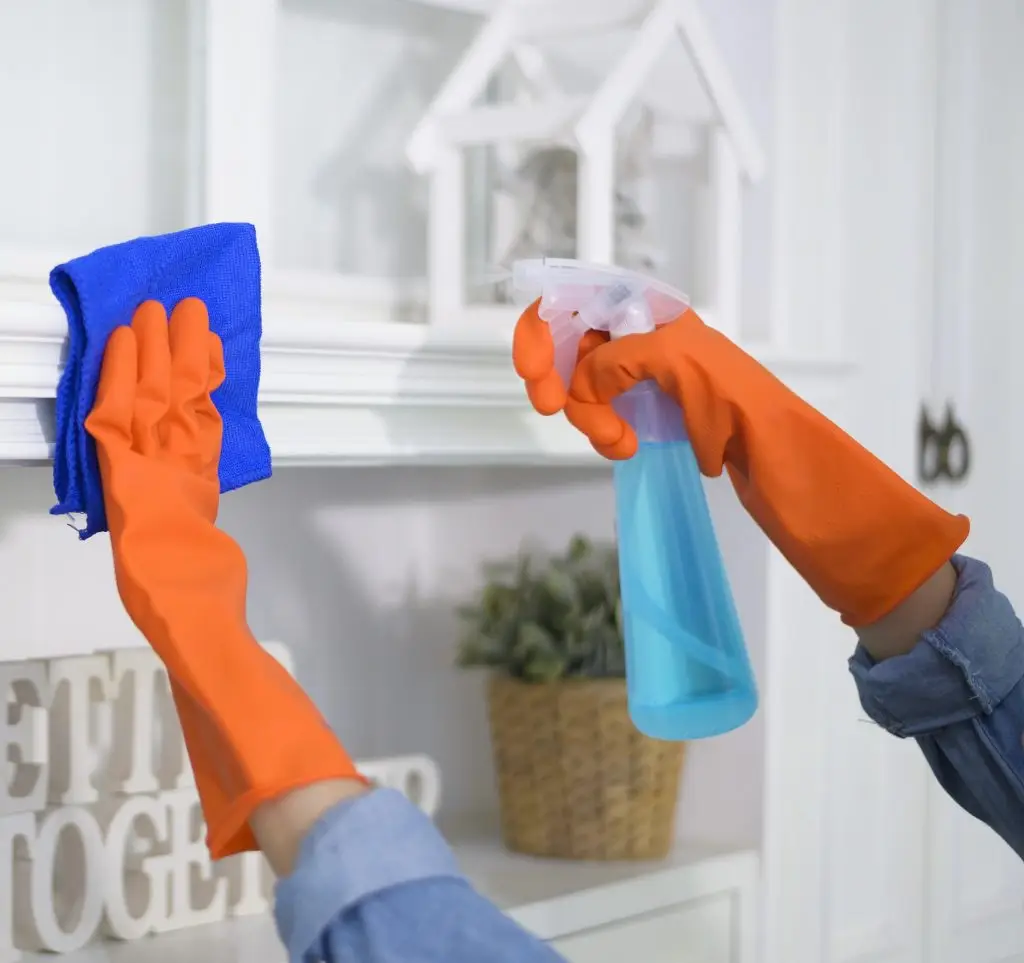 Eco Cleaning staff performing residential cleaning in a modern home