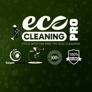 About Pro Eco cleaning services