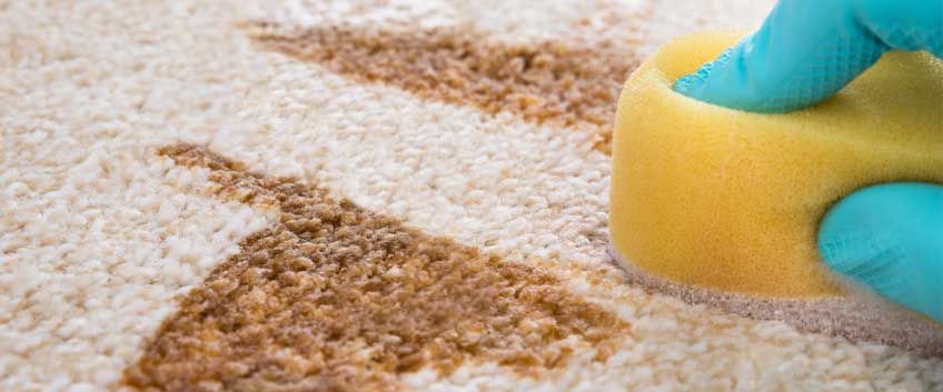 professional carpet cleaning dundalk & county louth